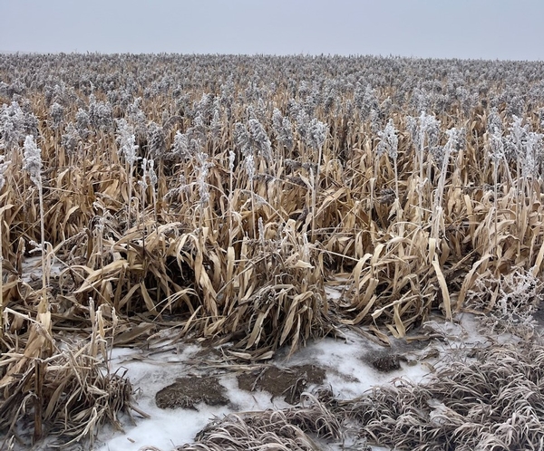UGUIDE 2024 Food Plot System (updated 2/10/2024)